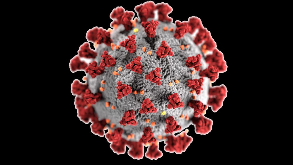 11 Ways to Boost Immune System to Naturally Fight Cold & Flu (& COVID-19, too)