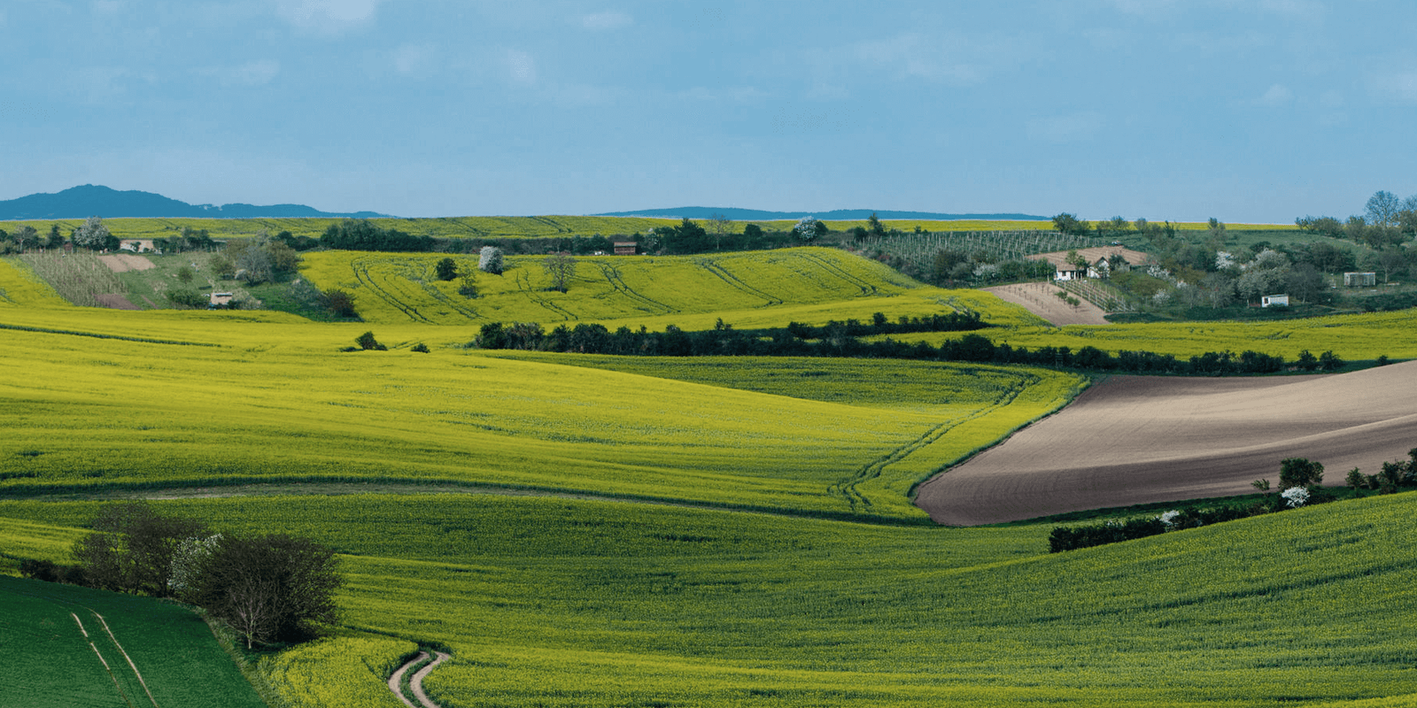 Making an impact on sustainable sourcing, green manufacturing, and eco-friendly operations